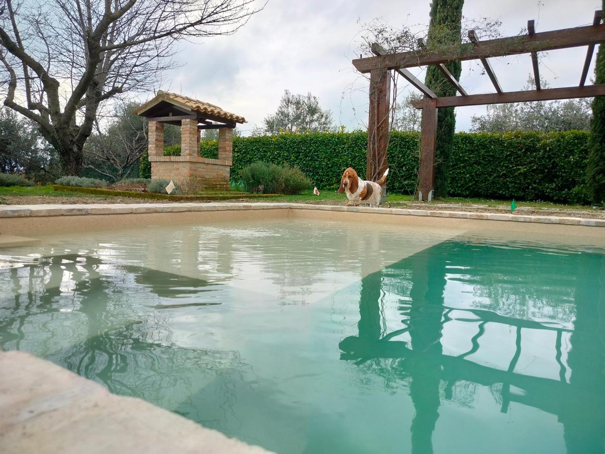 Ca' Le Cerque, Surrounded By The Marche Nature Holiday home Fossombrone